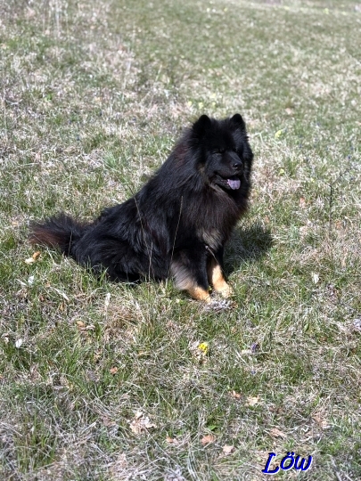 11.4.2025 - Aufkläerer